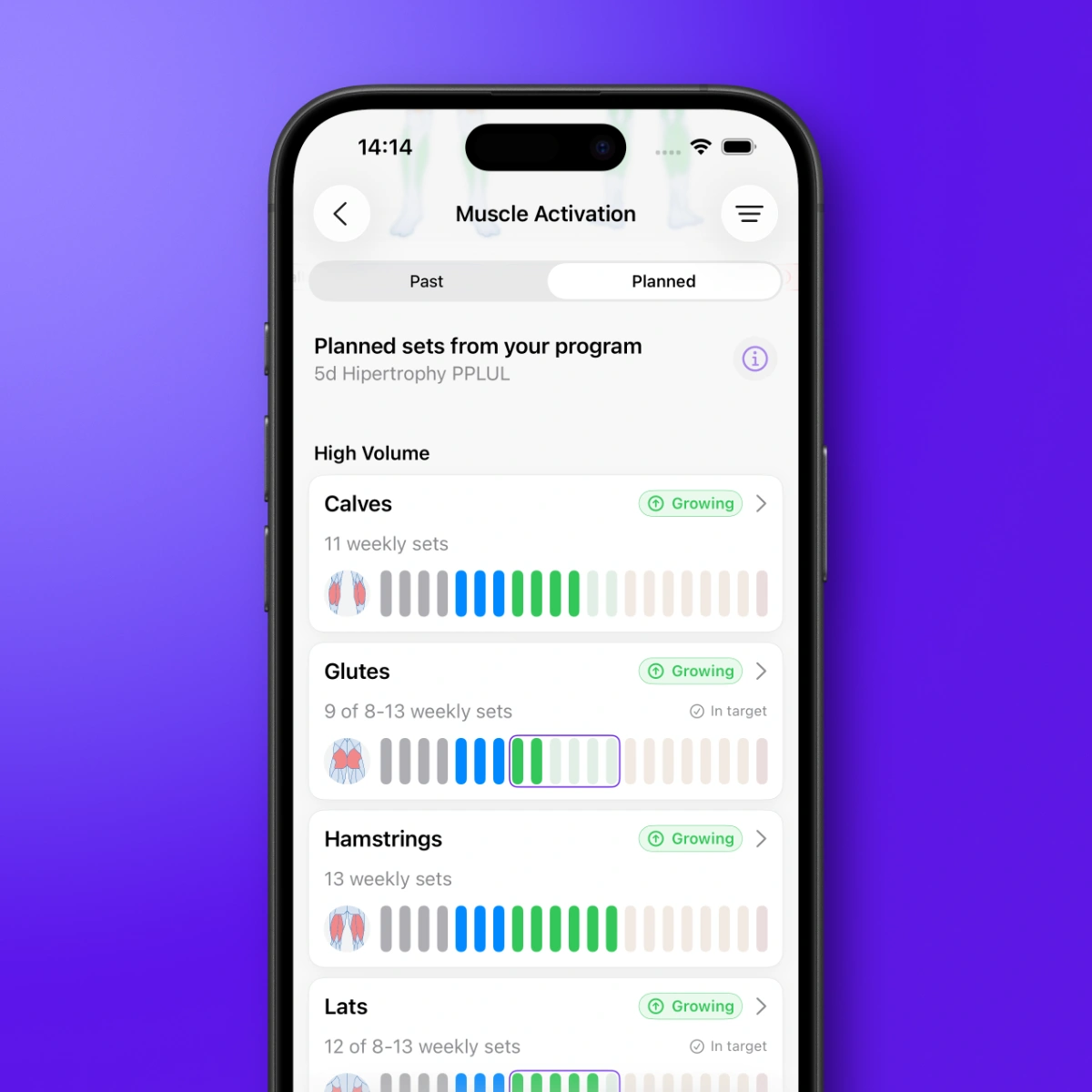 Steady's Muscle Activation screen showing planned weekly sets and muscle status labels
