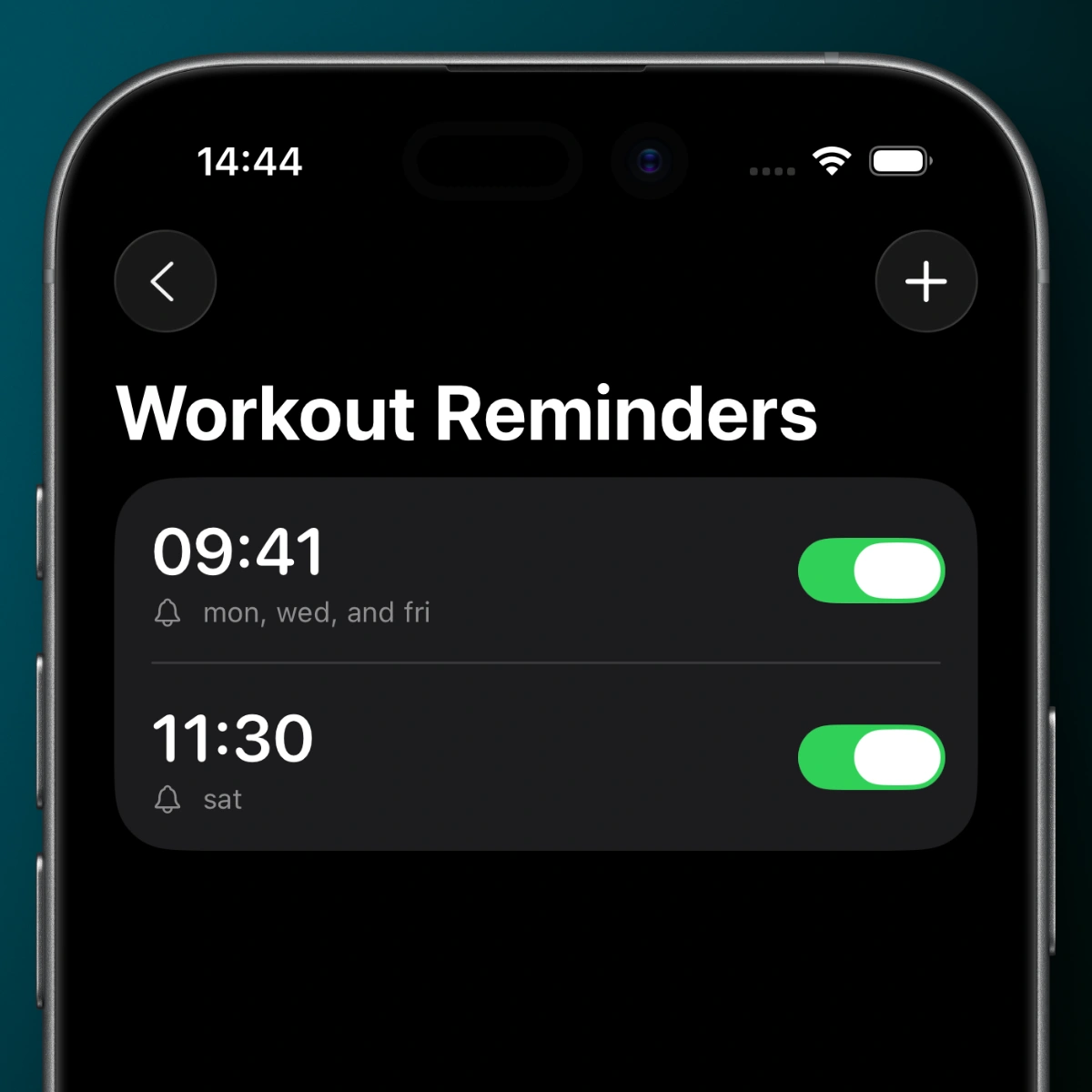Steady Workout Reminders screen showing two scheduled times and selected weekdays